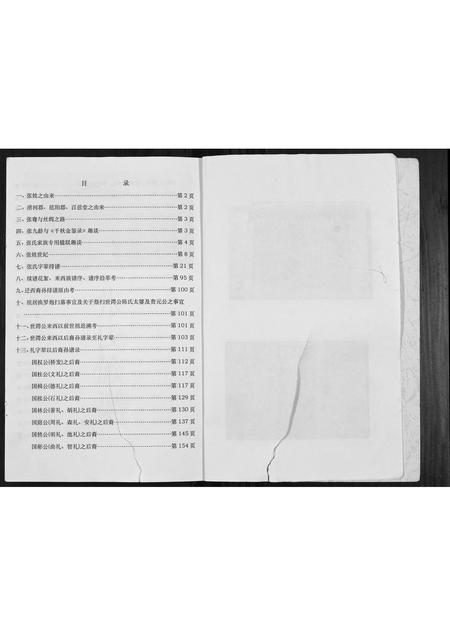 广西张氏-张氏宗谱.pdf电子版预览图3