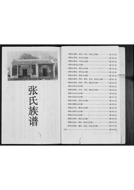 广西张氏-张氏宗谱.pdf电子版预览图4
