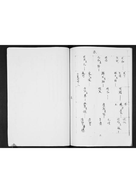 广西张氏-张氏家谱.pdf电子版预览图3