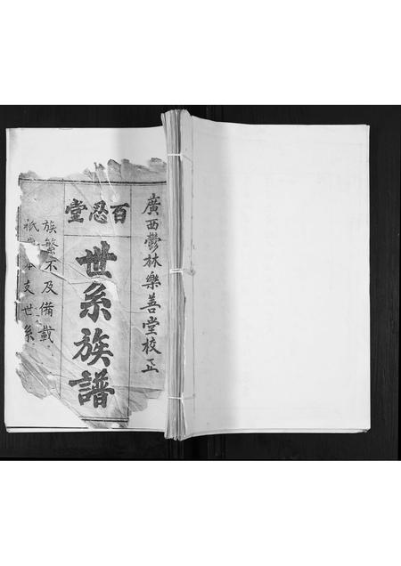 广西张氏-张氏家谱.pdf电子版缩略图