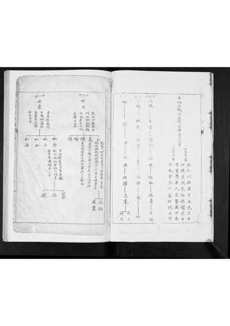 广西张氏-张氏家谱.pdf电子版预览图4