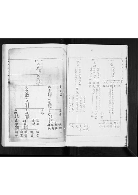 广西张氏-张氏家谱.pdf电子版预览图5