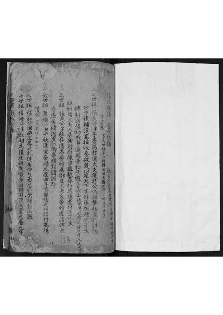 广西张氏-张氏家谱历代记录[2卷首1卷].pdf电子版预览图1