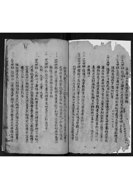 广西张氏-张氏家谱历代记录[2卷首1卷].pdf电子版预览图2