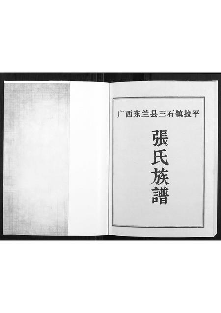 广西张氏-张氏族谱.pdf电子版预览图1