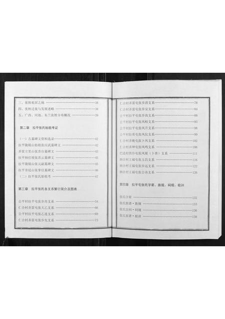 广西张氏-张氏族谱.pdf电子版预览图3