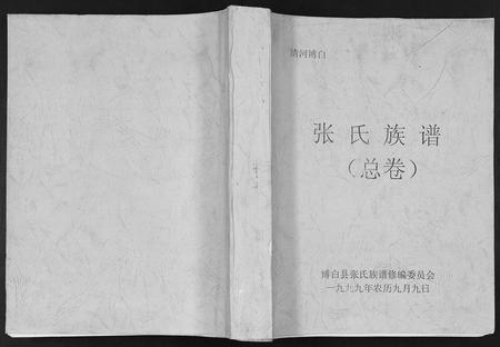 广西张氏-张氏族谱.pdf电子版缩略图