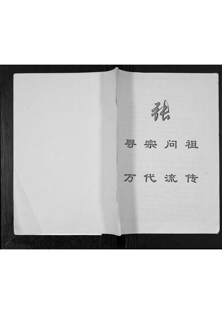 广西张氏-张氏族谱.pdf电子版缩略图