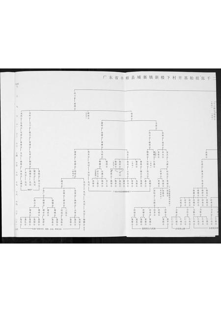 广西张氏-张氏族谱.pdf电子版预览图5