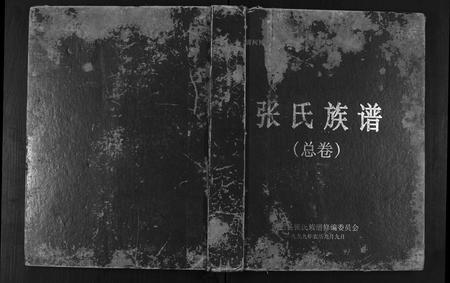 广西张氏-张氏族谱.pdf电子版缩略图