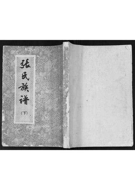 广西张氏-张氏族谱[2卷].pdf电子版缩略图