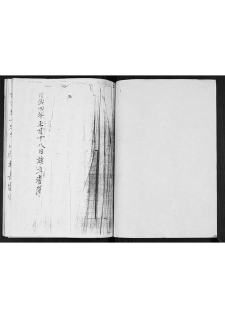 广西张氏-张氏蒸当当族谱.pdf电子版预览图1