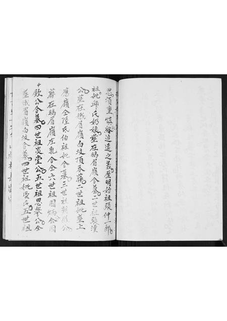 广西张氏-张氏蒸当当族谱.pdf电子版预览图3