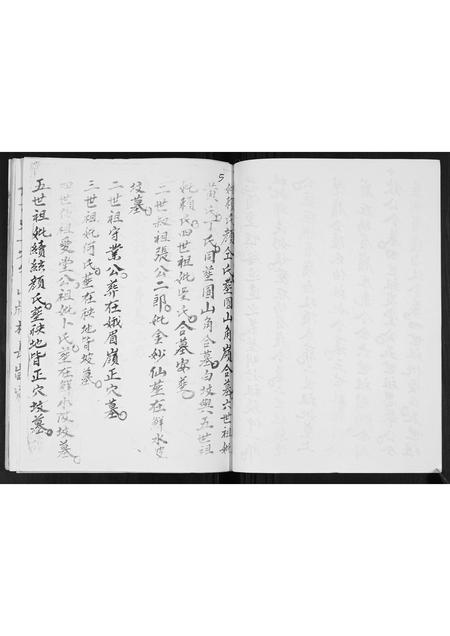 广西张氏-张氏蒸当当族谱.pdf电子版预览图4