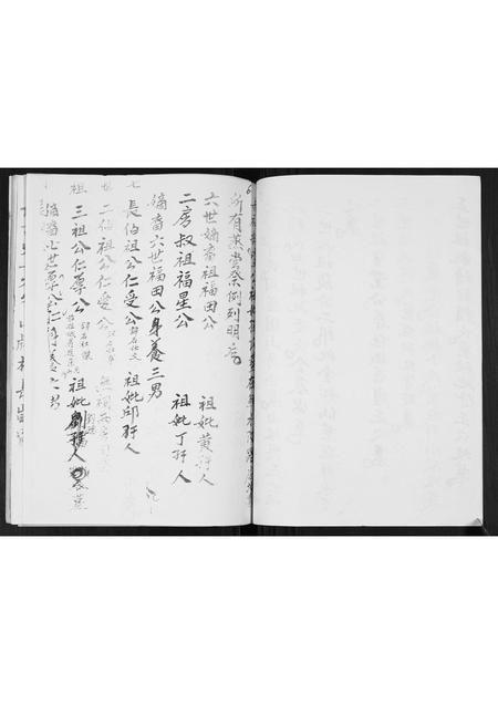 广西张氏-张氏蒸当当族谱.pdf电子版预览图5