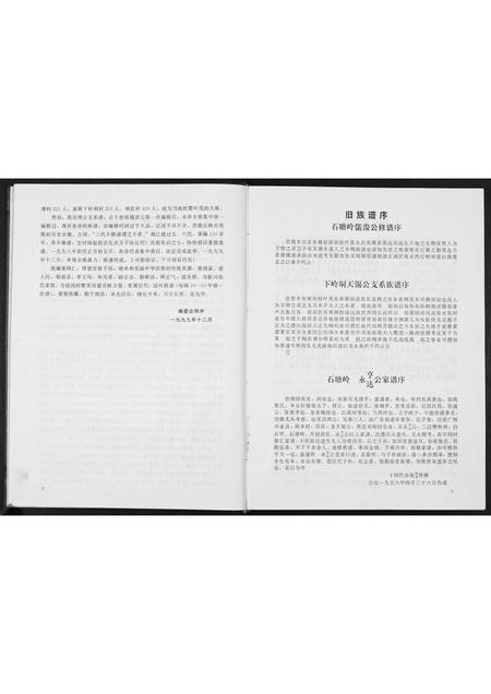 广西张氏-张氏双湾公支谱.pdf电子版预览图5