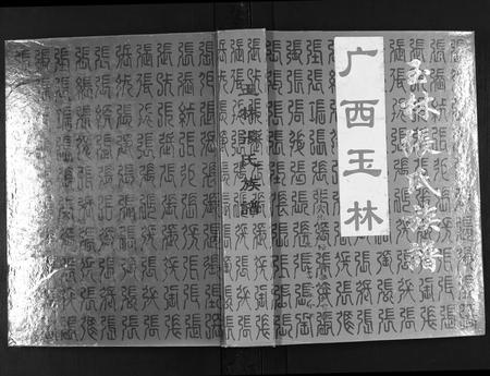 广西张氏-玉林张氏族谱.pdf电子版缩略图