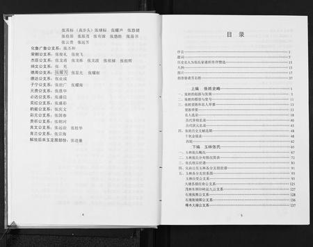 广西张氏-玉林张氏族谱.pdf电子版预览图4