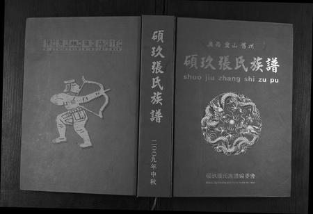 广西张氏-硕玖张氏族谱.pdf电子版缩略图