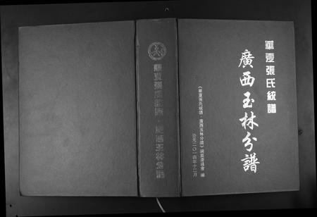 广西张氏-华夏张氏统谱广西省玉林分谱.pdf电子版缩略图