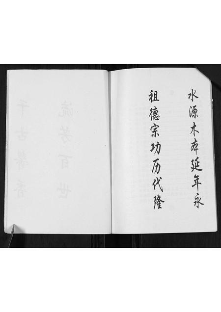 河北张氏-张氏世谱.pdf电子版预览图4