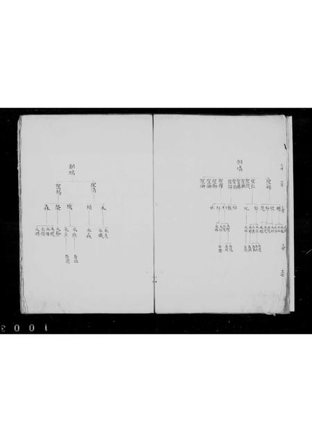 河北张氏-张氏宗支世系之图.pdf电子版预览图2