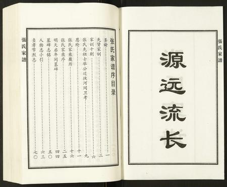 河北张氏-张氏家谱.pdf电子版预览图2