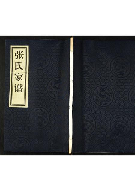 河北张氏-张氏家谱.pdf电子版缩略图