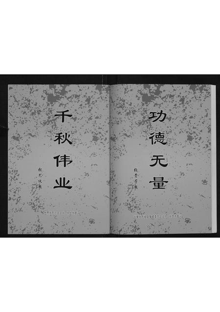 河北张氏-张氏家谱.pdf电子版预览图3