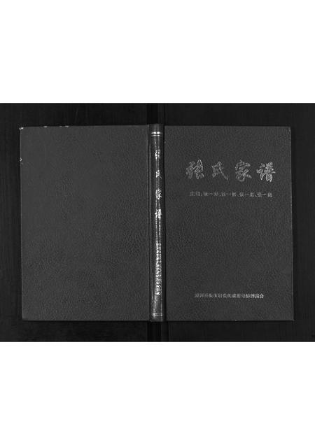河北张氏-张氏家谱.pdf电子版缩略图