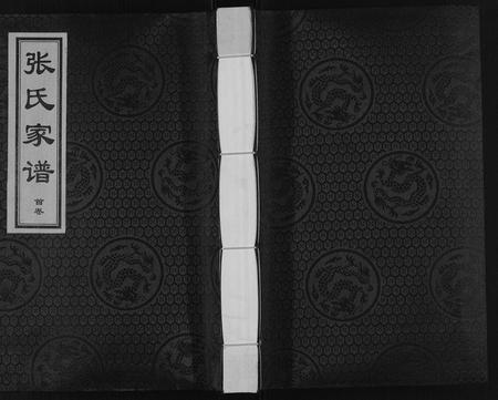 河北张氏-张氏家谱[9卷首1卷].pdf电子版缩略图