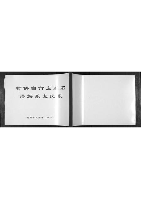 河北张氏-张氏支系族谱.pdf电子版缩略图