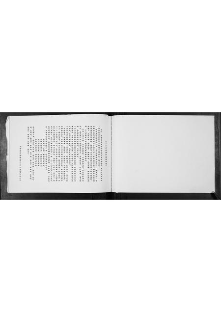 河北张氏-张氏支系族谱.pdf电子版预览图1