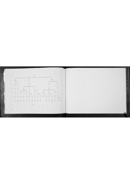 河北张氏-张氏支系族谱.pdf电子版预览图3