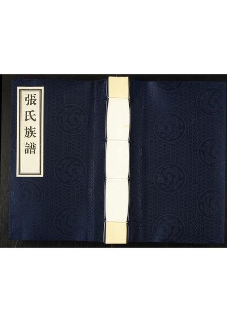 河北张氏-张氏族谱.pdf电子版缩略图