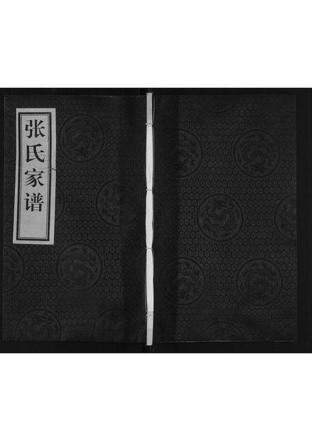 河北张氏-张氏族谱.pdf电子版缩略图