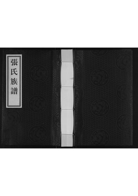 河北张氏-张氏族谱.pdf电子版缩略图