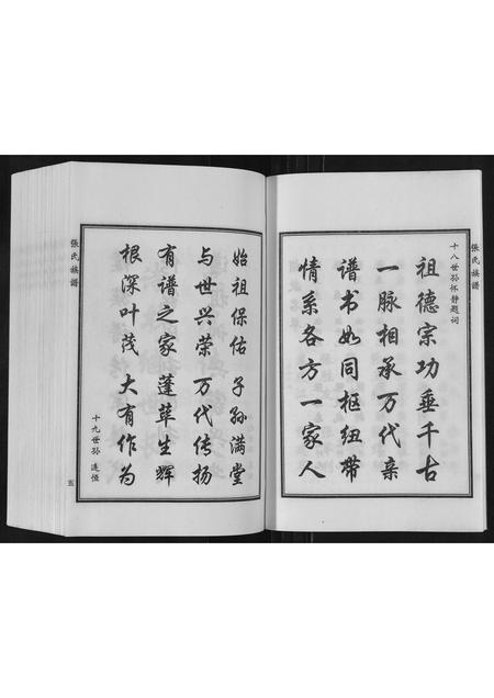 河北张氏-张氏族谱.pdf电子版预览图3