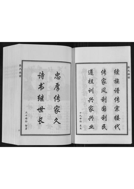 河北张氏-张氏族谱.pdf电子版预览图4