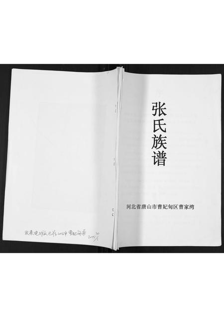 河北张氏-张氏族谱.pdf电子版缩略图
