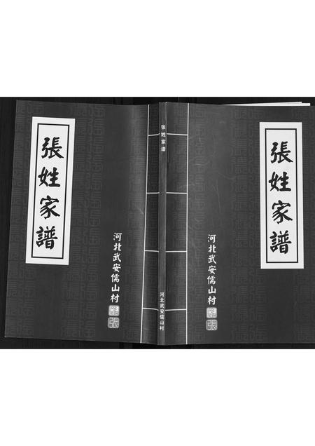 河北张氏-武安儒山村张姓家谱.pdf电子版缩略图