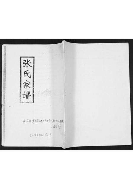 河北张氏-清河派张氏西街城区家族世系谱.pdf电子版缩略图