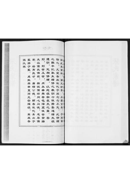 河北张氏-清河派张氏西街城区家族世系谱.pdf电子版预览图4