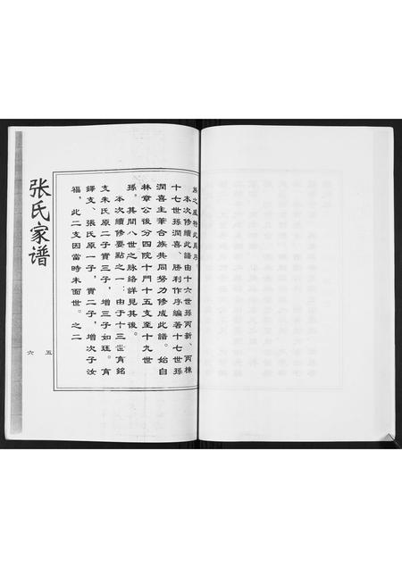 河北张氏-清河派张氏西街城区家族世系谱.pdf电子版预览图5