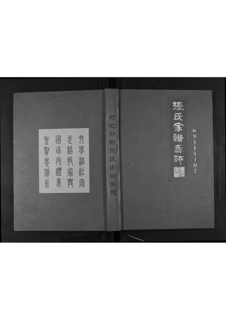 河北张氏-邯郸东辛庄勇胜堂张氏家谱裔志.pdf电子版缩略图