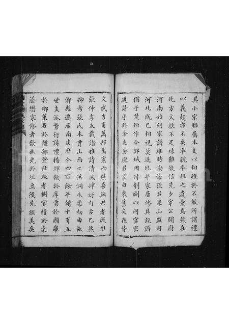 河北张氏-西门张氏宗谱(别名：南皮张氏族谱).pdf电子版预览图2