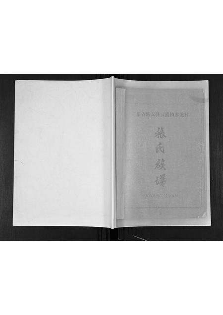 海南张氏-赤龙张氏族谱.pdf电子版缩略图