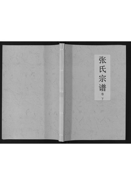 海南张氏-张氏宗谱[上下卷].pdf电子版缩略图