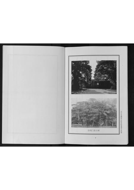 海南张氏-张氏宗谱[上下卷].pdf电子版预览图5