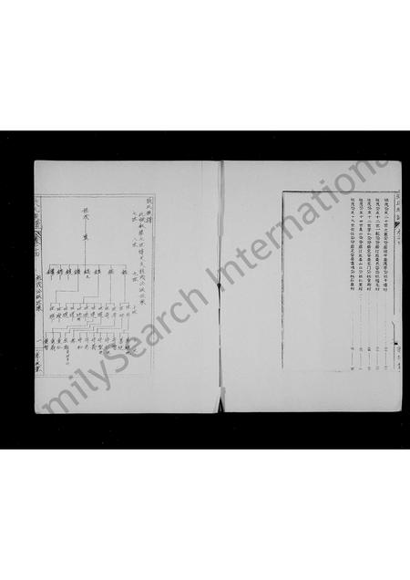 海南张氏-张氏族谱.pdf电子版预览图2